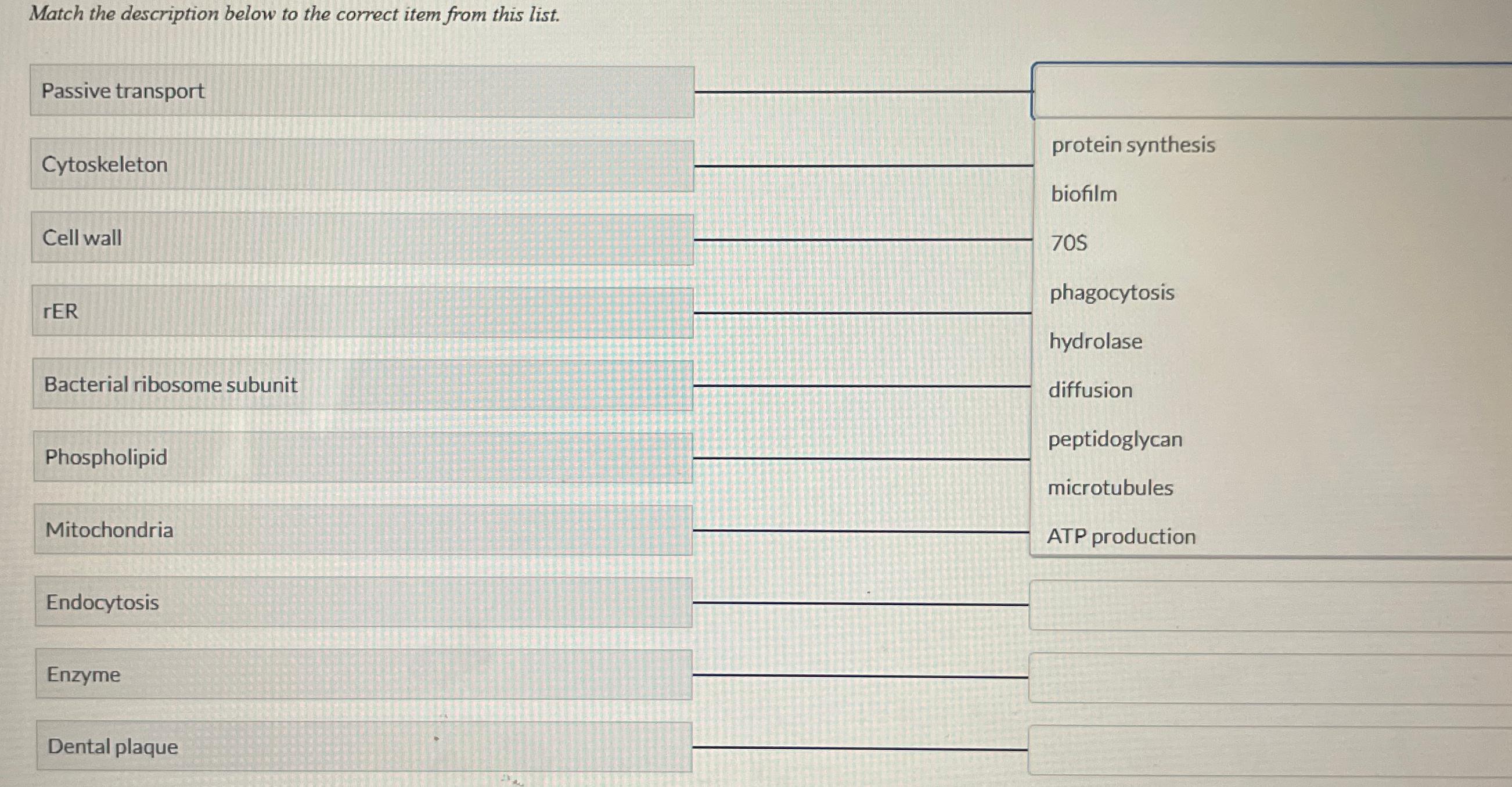 Solved Match the description below to the correct item from | Chegg.com