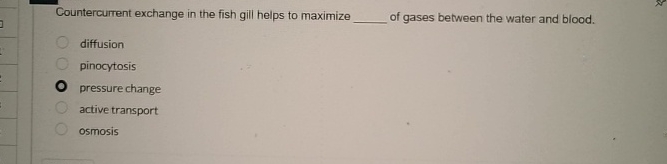 Solved Countercurrent exchange in the fish gill helps to | Chegg.com