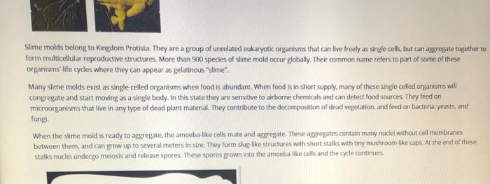 solved-slime-molds-belong-to-kingdom-protista-they-are-a-chegg