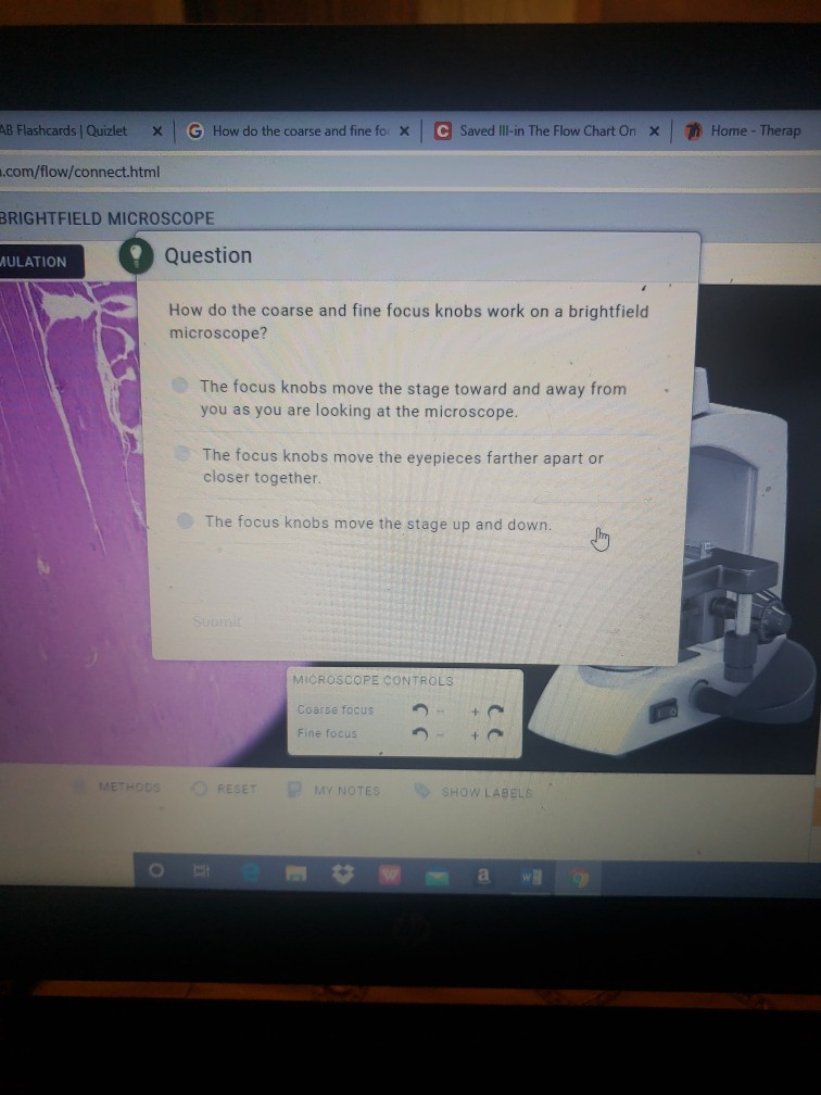 Solved AB Flashcards | Quizlet G How do the coarse and fine 