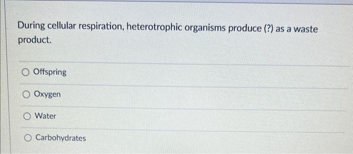 Solved During cellular respiration, heterotrophic organisms | Chegg.com