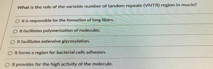 variable number tandem repeats