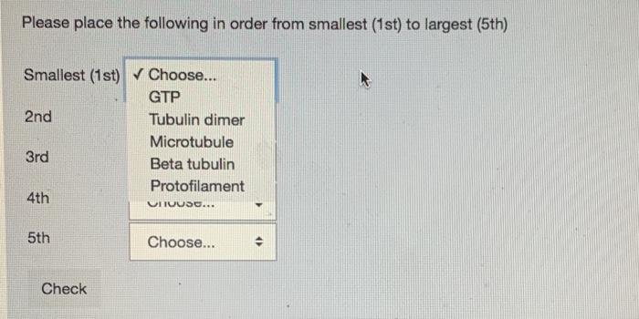 Solved Please place the following in order from smallest | Chegg.com
