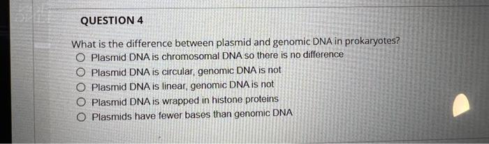 Solved QUESTION 4 What is the difference between plasmid and | Chegg.com
