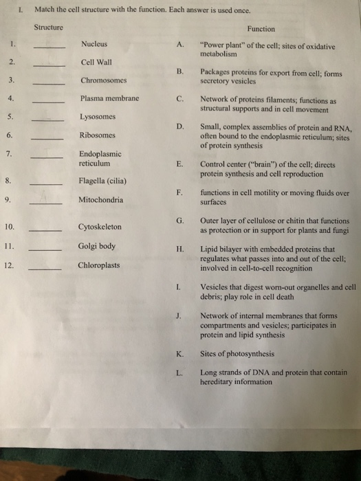 Solved Match the cell structure with the function. Each | Chegg.com