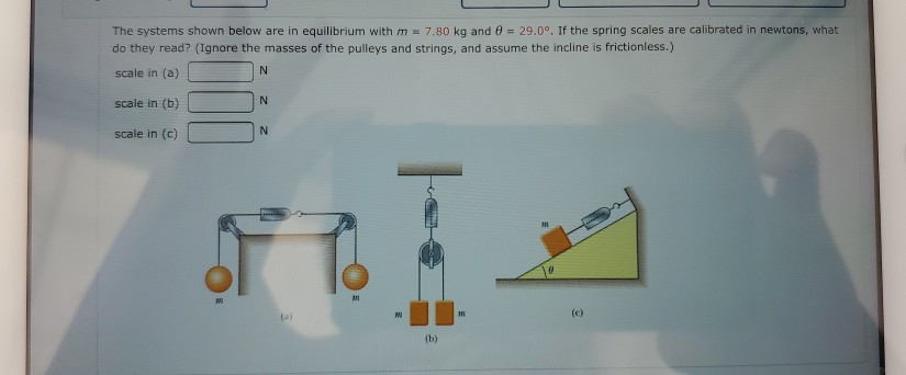 Solved The systems shown below are in equilibrium with m = | Chegg.com