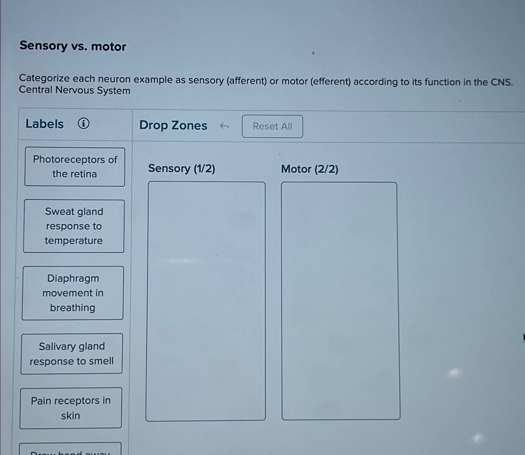 Solved Sensory vs. ﻿motorCategorize each neuron example as | Chegg.com