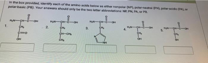 Solved In the box provided, identify each of the amino acids | Chegg.com