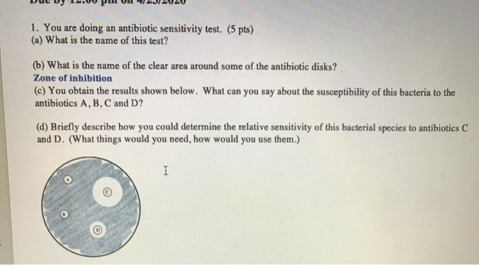 Solved 1. You are doing an antibiotic sensitivity test. (5 | Chegg.com