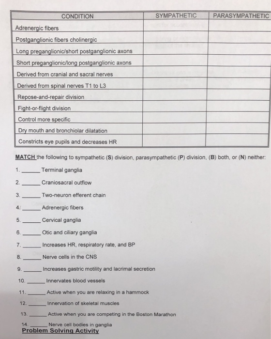 Solved Lab Review Activities Place An 