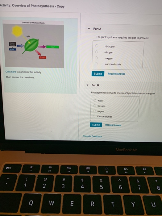 Solved Activity: Overview Of Photosynthesis - Copy Part A | Chegg.com