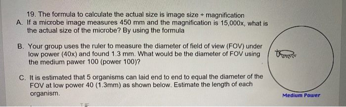 Solved 19. The formula to calculate the actual size is image | Chegg.com