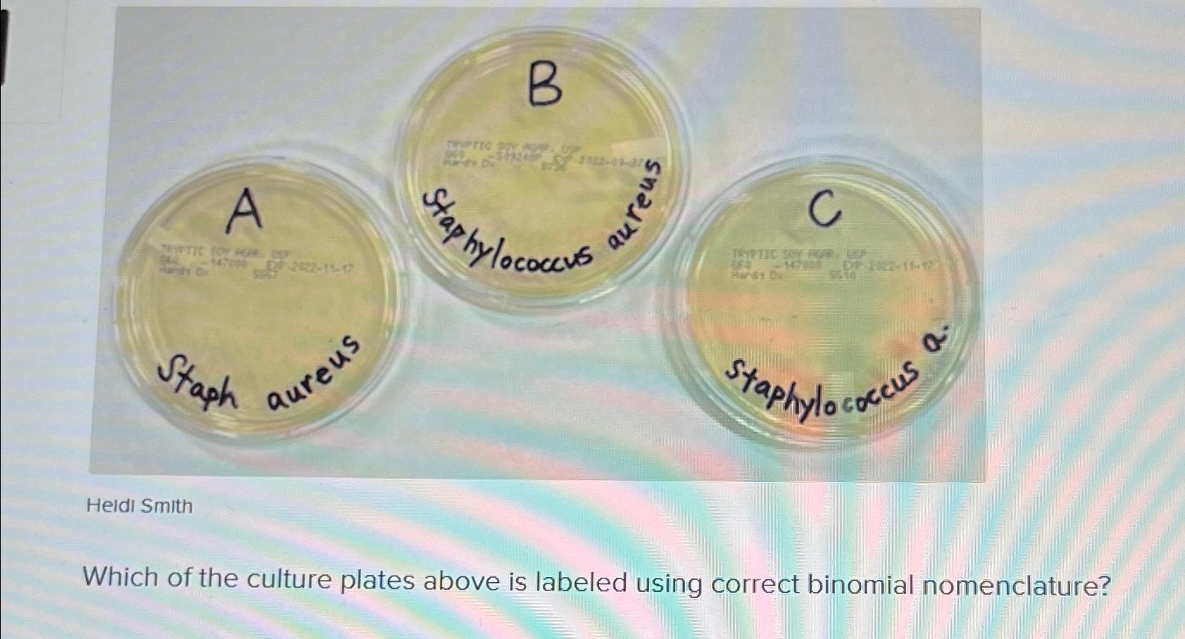 Solved Which of the culture plates above is labeled using