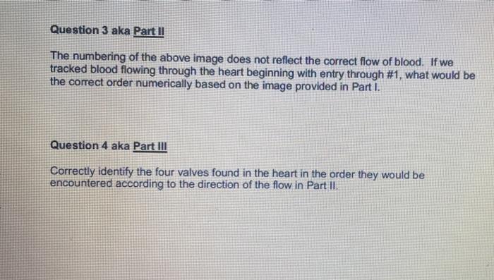 Solved Question 3 aka Part II The numbering of the above | Chegg.com