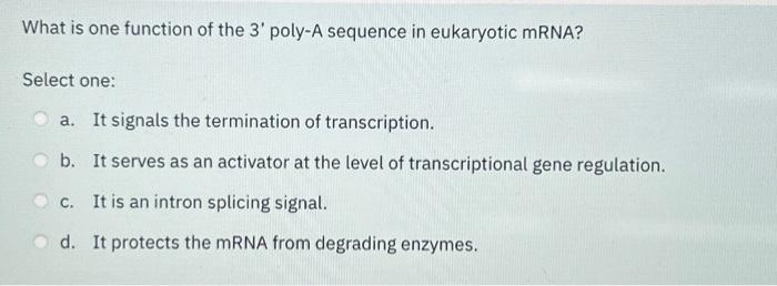 Solved What is one function of the 3' poly-A sequence in | Chegg.com