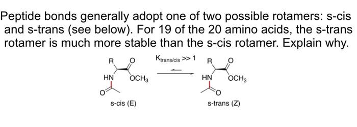 Solved Peptide bonds generally adopt one of two possible | Chegg.com
