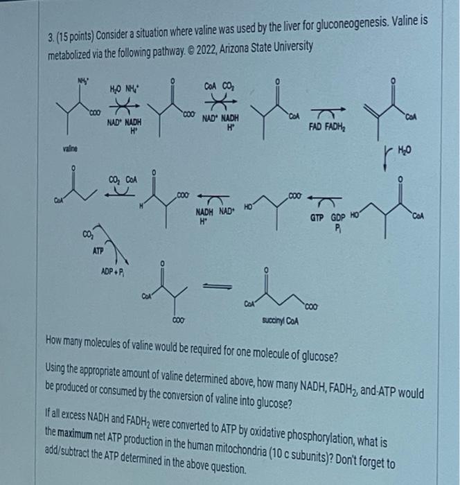 Solved 3. (15 points) Consider a situation where valine was | Chegg.com