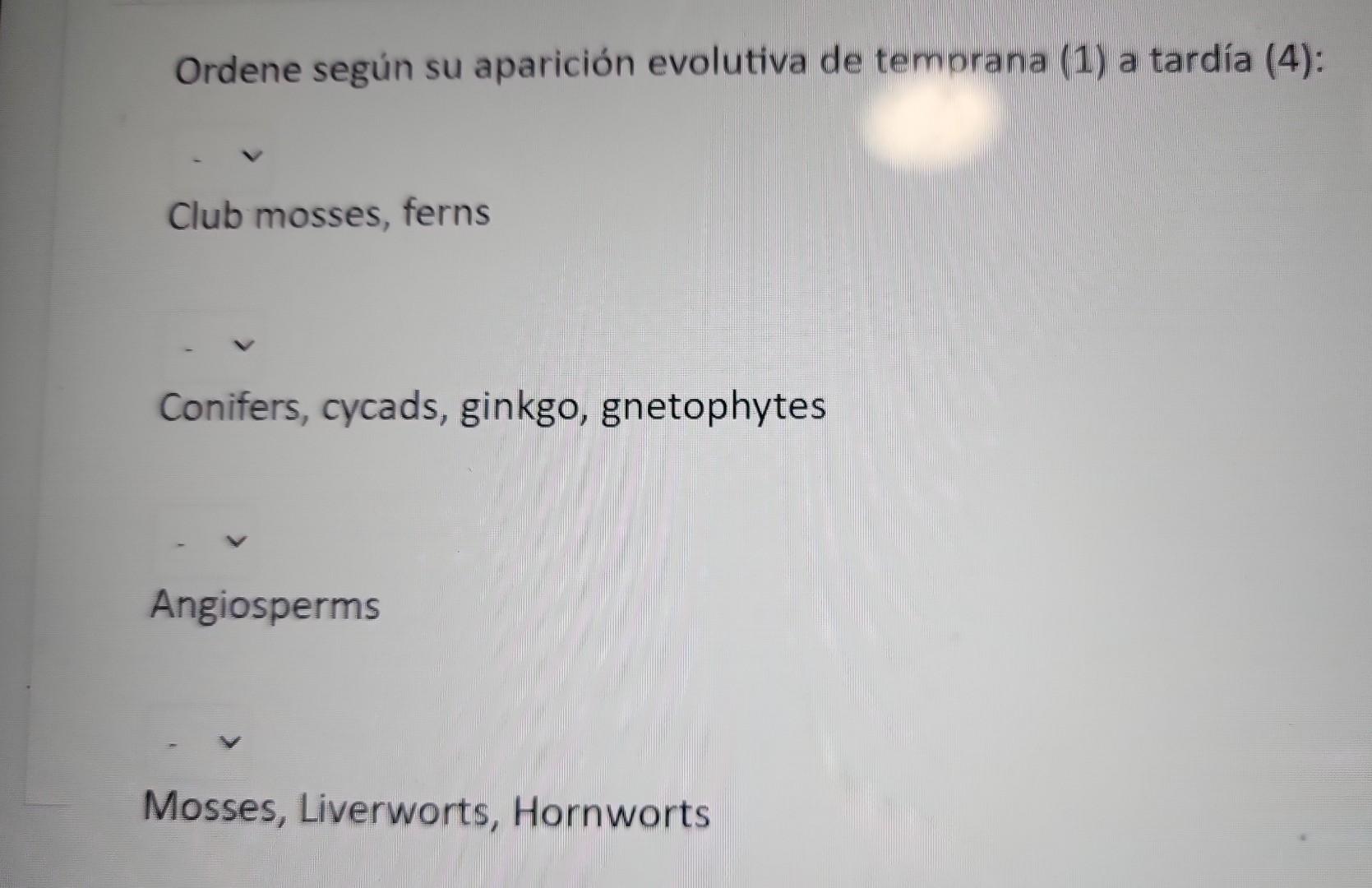 Ordene según su aparición evolutiva de temprana (1) a tardía (4): Club mosses, ferns Conifers, cycads, ginkgo, gnetophytes An