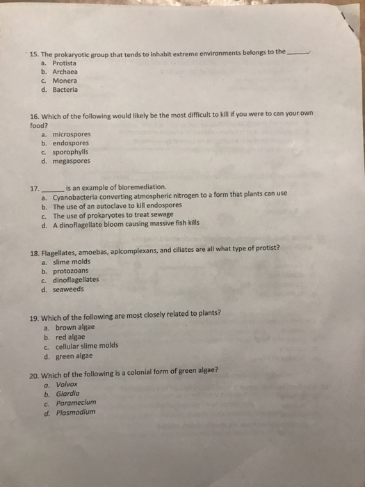 Homework help live picture