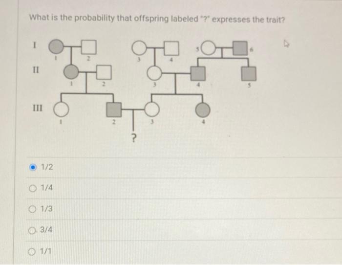 Solved What is the probability that offspring labeled 