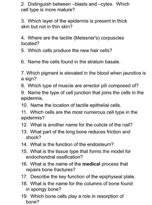 Solved 2. Distinguish between -blasts and cytes. Which cell | Chegg.com