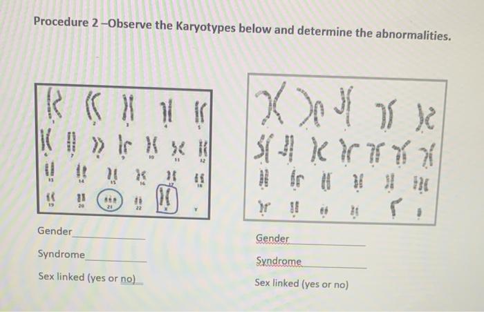 Solved Procedure 2-Observe The Karyotypes Below And | Chegg.com