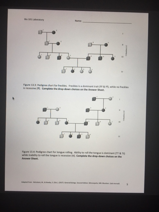 Bio 101 Laboratory Laboratory 13 Principles of | Chegg.com