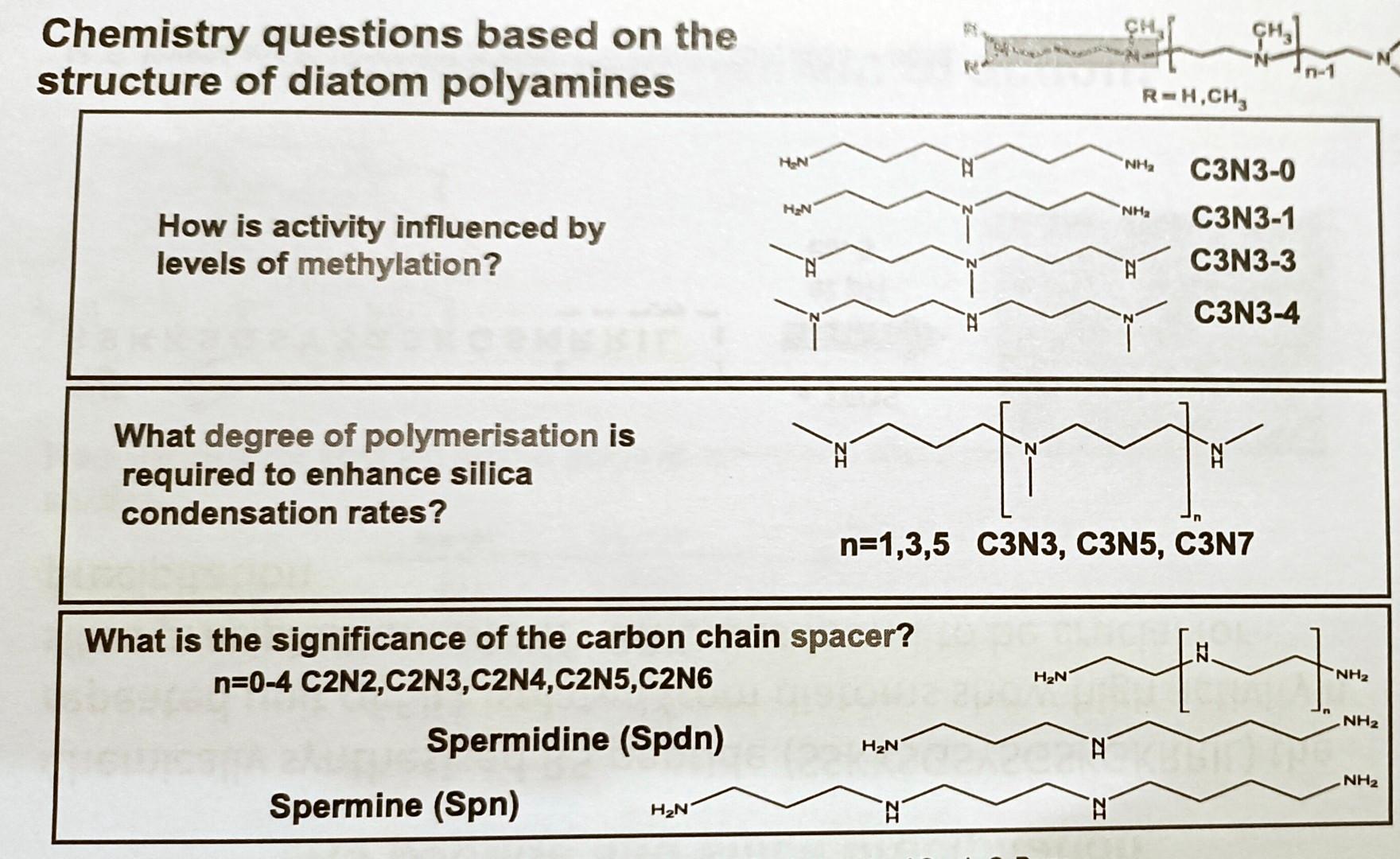 Chemistry questions based on the structure of diatom polyamines
How is activity influenced by levels of methylation?
C3N3-0
C