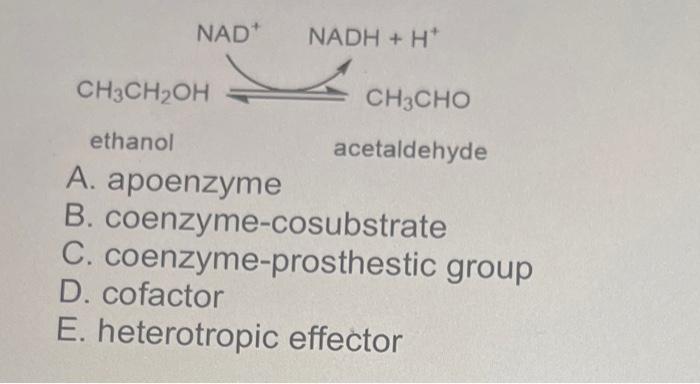 ethanol
acetaldehyde
A. apoenzyme
B. coenzyme-cosubstrate
C. coenzyme-prosthestic group
D. cofactor
E. heterotropic effector