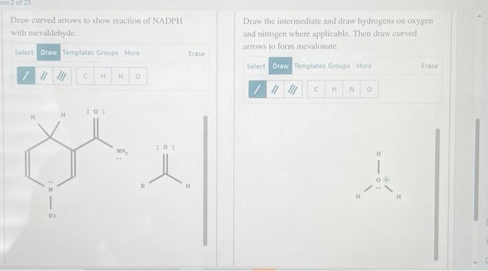 Solved The thioester (5)-3-hydroxy-3-methylglutaryl-CoA | Chegg.com