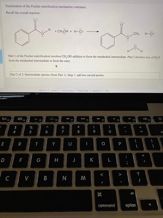 Solved Examination of the Fischer esterification mechanism | Chegg.com