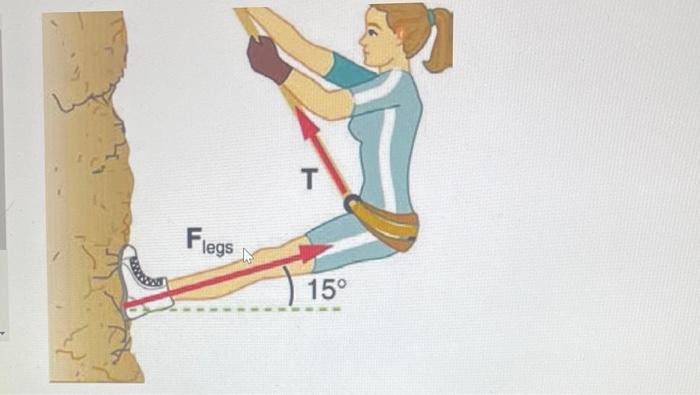 Solved Consider The 52 Kg Mountain Climber Shown Below. Find | Chegg.com