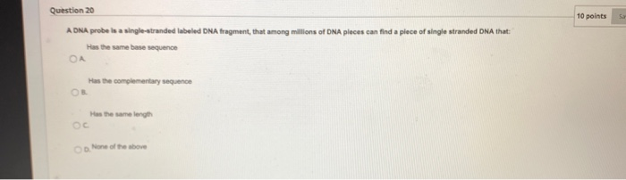 Solved Question 20 10 points A DNA probe is a | Chegg.com