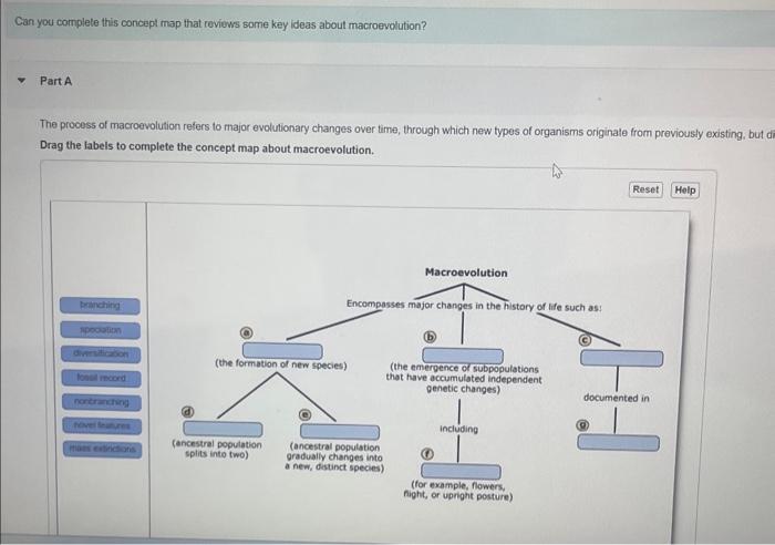 the-human-body-activity-worksheet-the-sense-of-touch-classmonitor