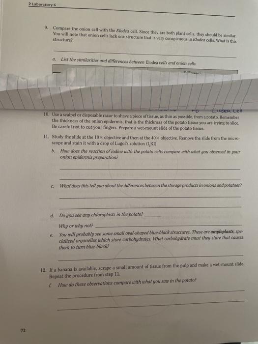 Solved > Laboratory 9. Compare the onion cell with the