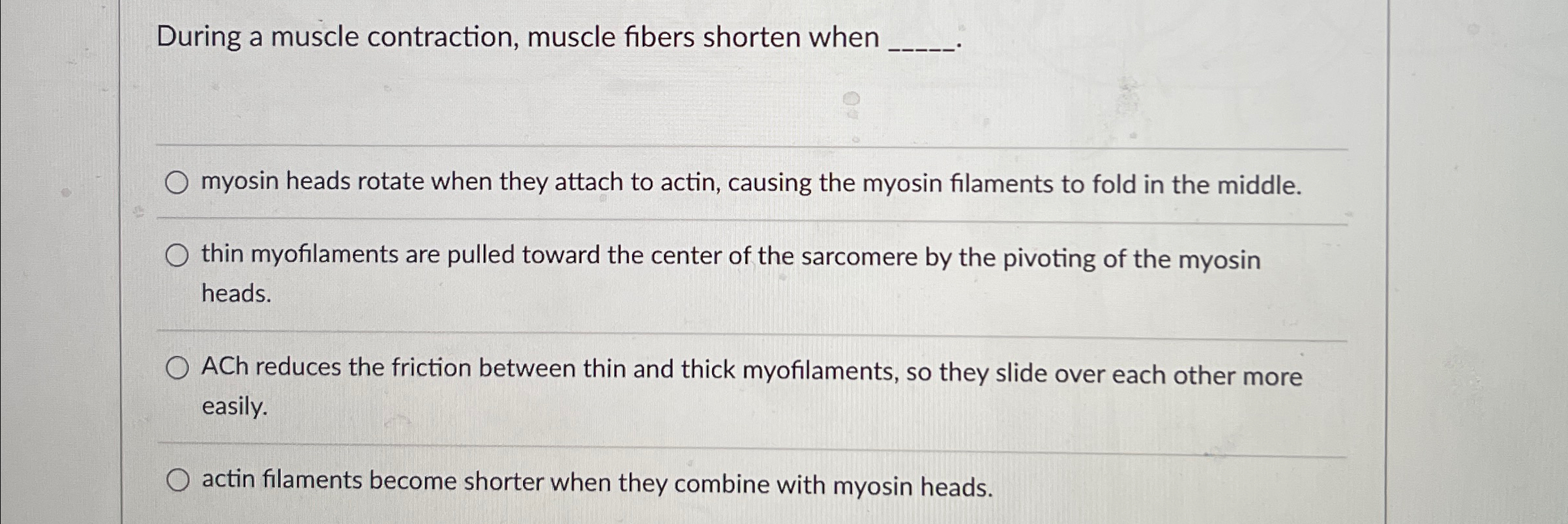 Solved During a muscle contraction, muscle fibers shorten | Chegg.com