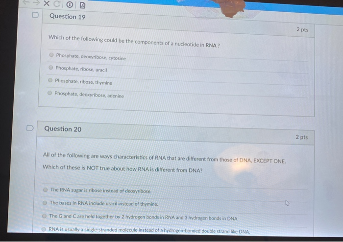 Solved 1 Question 19 2 pts Which of the following could be | Chegg.com