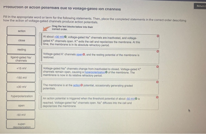 Solved Return Production Of Action Potentials Que To | Chegg.com