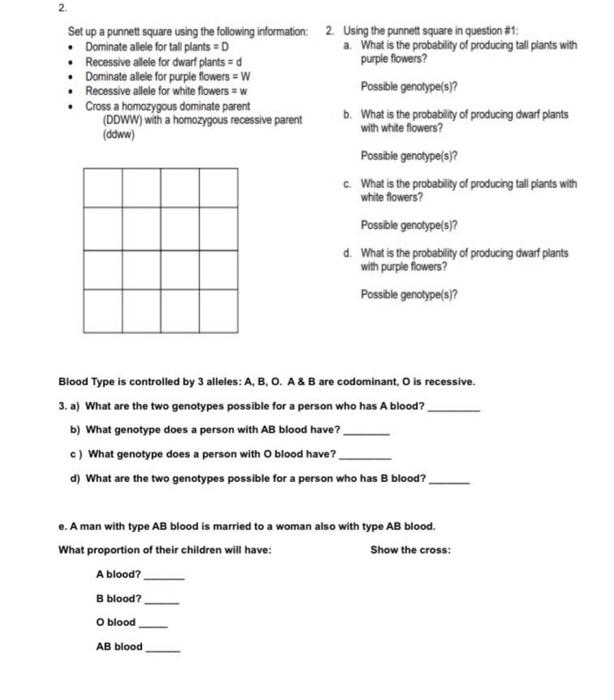 2.
Set up a punnett square using the following information: 2. Using the punnett square in question #1:
• Dominate allele for