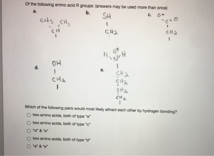 Solved of the following amino acid R groups answers may be