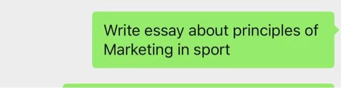 essay on sports management