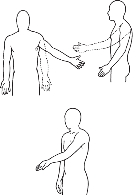 Label and indicate with arrows the following movements ... | Chegg.com