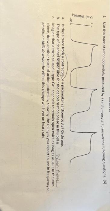 Solved can you answer this question without COPY FROM OTHER | Chegg.com