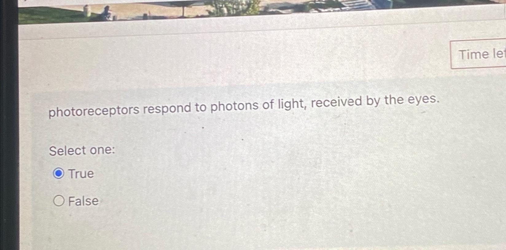 Solved photoreceptors respond to photons of light, received | Chegg.com