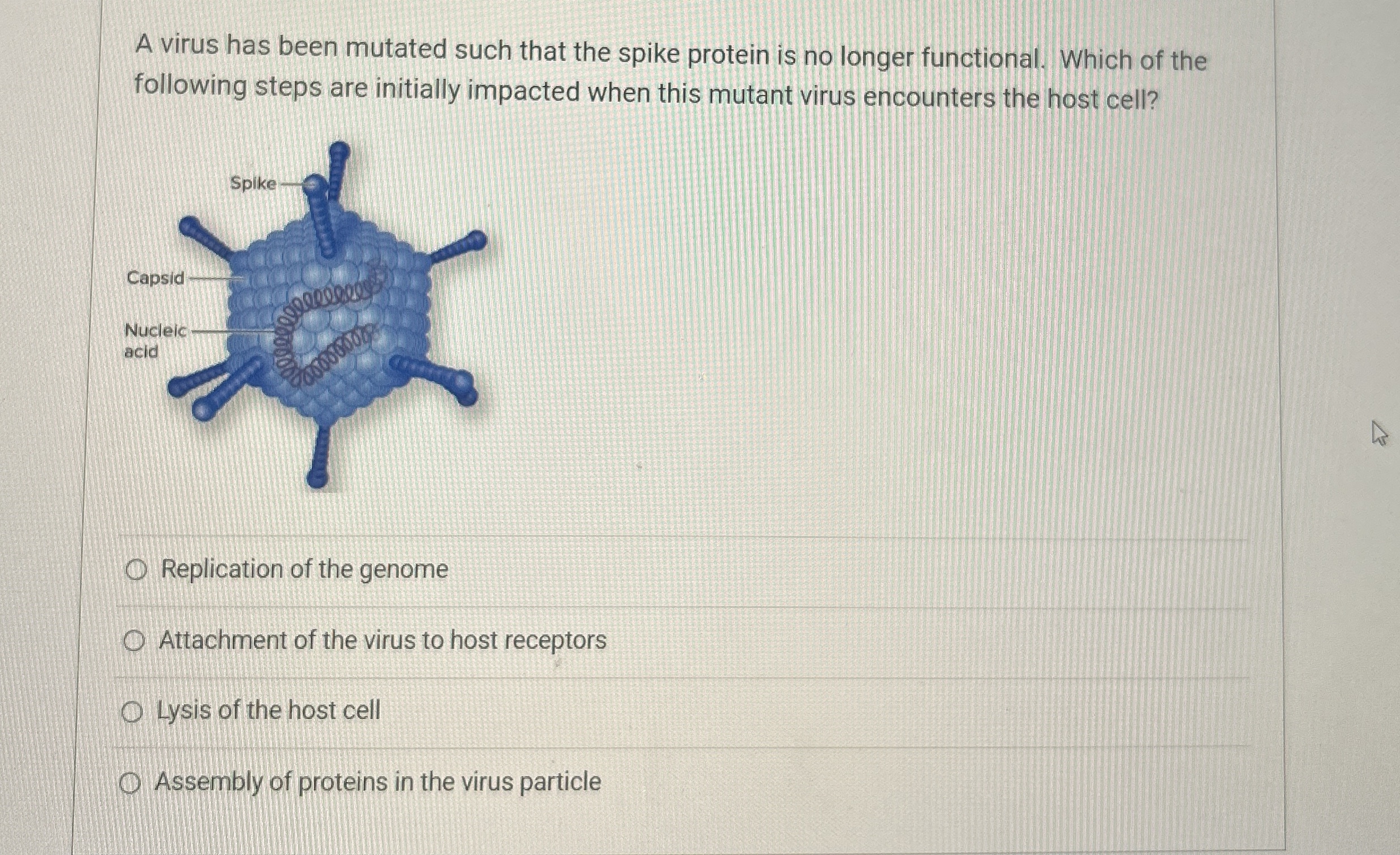 student submitted image, transcription available below