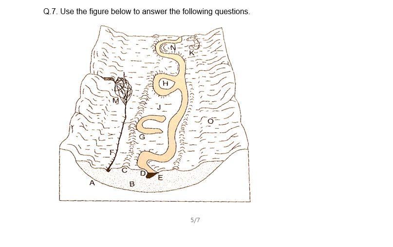 Solved Use the figure below to answer the following | Chegg.com