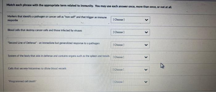 Solved Match each phrase with the appropriate part of the | Chegg.com