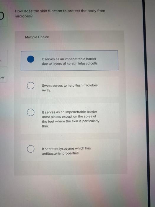 Solved 2 How does the skin function to protect the body from | Chegg.com