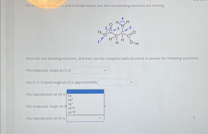 Solved The Structure Of Aspartic Acid Is Shown Below But 6011