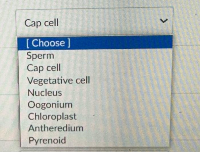 Solved Match the structures 1-8 in Fig. 1 with the correct | Chegg.com